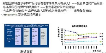 數(shù)字100市場研究公司的新產(chǎn)品測試服務(wù)內(nèi)容